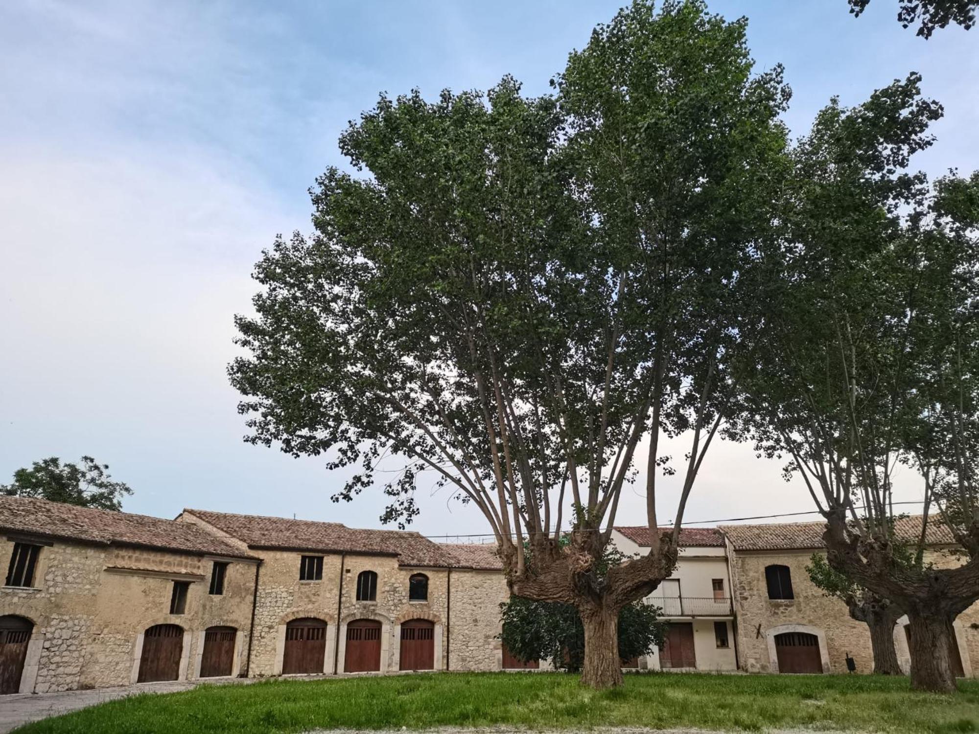 Domus Lineker Apartment Venafro Exterior photo